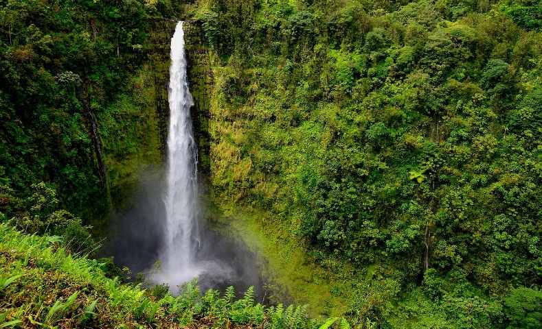 Hawai_Mobile_12 _780x480.jpg